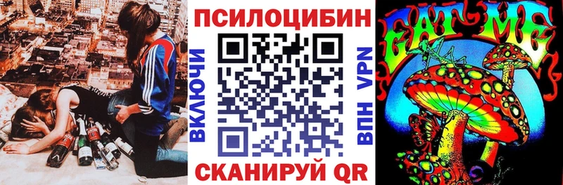 хочу   Туймазы  Галлюциногенные грибы Psilocybe 